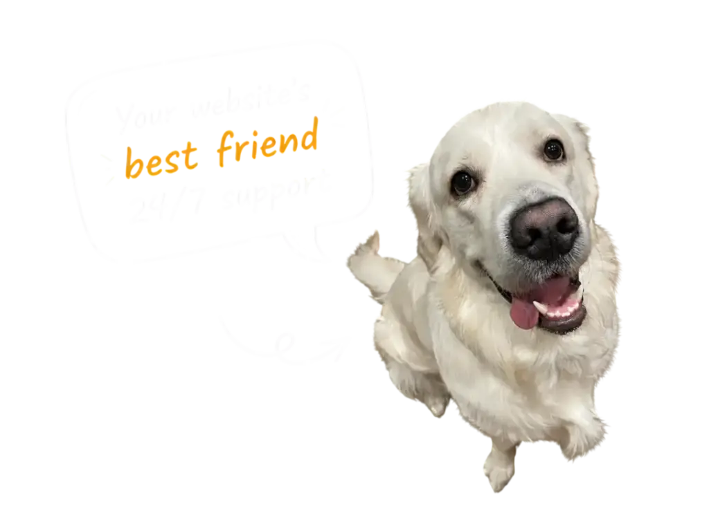 HostMaxa mascot Archie, a happy white golden retriever, smiling and looking at the viewer beside a speech bubble that says “Your website's best friend - 24/7 support”.